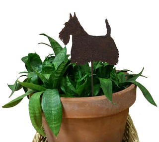 Tuteur pour plante Scottish Terrier (style 3)