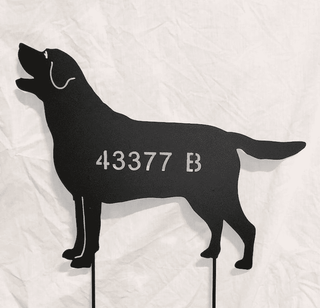 personalized Labrador Retriever