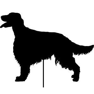 Estaca para planta de setter irlandés