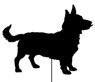 Lancashire Heeler