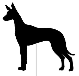 Estaca de jardín o colgante de pared de Pharaoh Hound