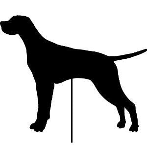 Pointer Garden Stake