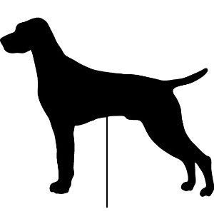 Vizsla Garden Stake