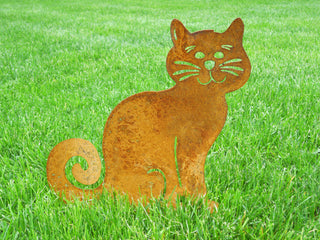 Ziggy Cat Sitting