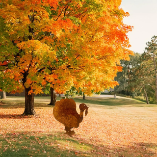 Turkey garden stake