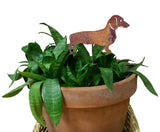 Dachshund (Style 2 - Standing) Plant Stake