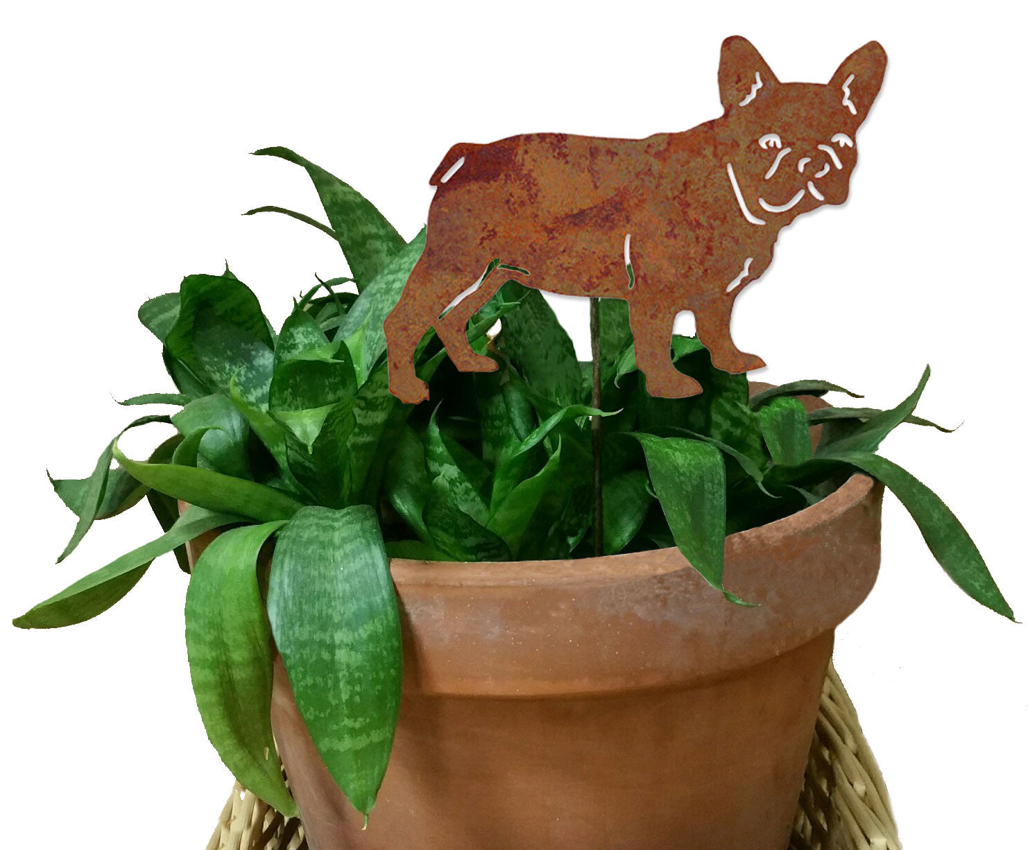 french bulldog potted plant French Bulldog Plant Stake – Rustica Ornamentals