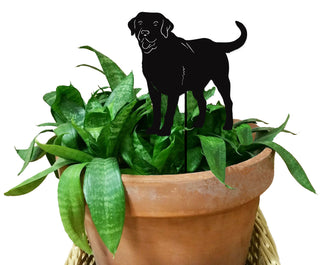 Decorative Dog Planter 