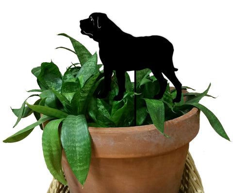 Mastiff Plant Stake