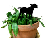 Bull Terrier Plant Stake