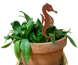 Seahorse Ornament or Plant Stake