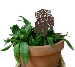 Tea Cup Poodle Plant Stake