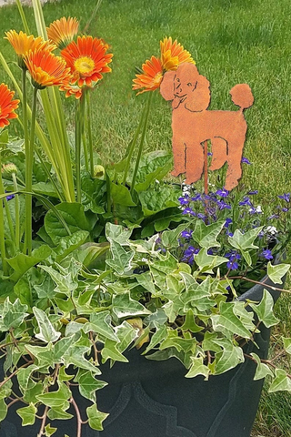 Poodle Plant Stake (style 2)