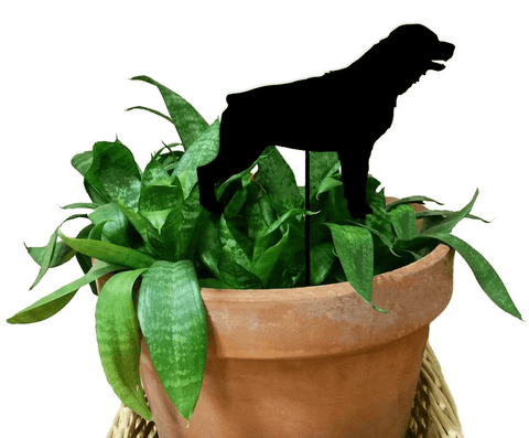 Rottweiler Plant Stake (style 2)