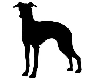 Italian Greyhound Statue or Dog Wall Art